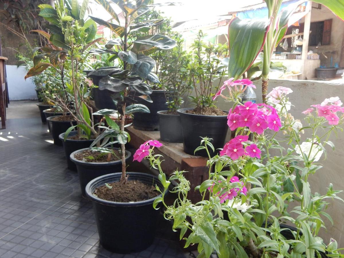 Vang Vieng Camellia Hotel Ngoại thất bức ảnh